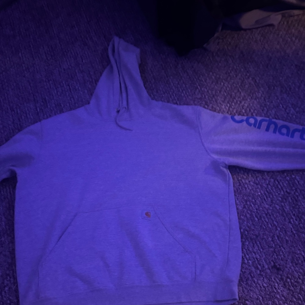 Carhartt Blue-Gray Hoodie with Sleeve Logo